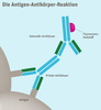 Antigen-Antikörper-Reaktion_IPF_s